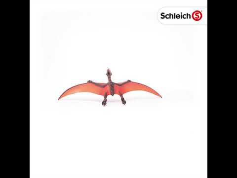 Ptéranodon - Dinosaure