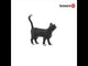 Chat debout