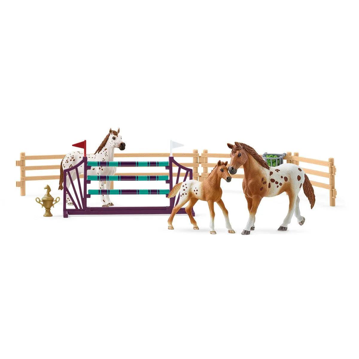 L’entraînement au concours - Horse Club - La Ribouldingue