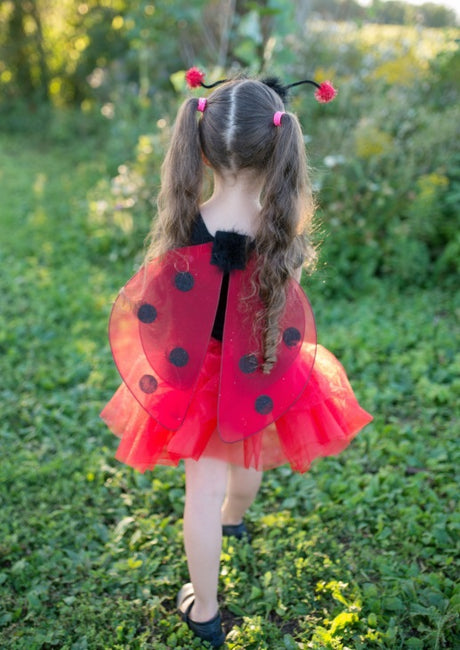 Ladybird - Tutu Wings 4-7 ans