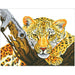Leopard Look - Intermédiaire - La Ribouldingue