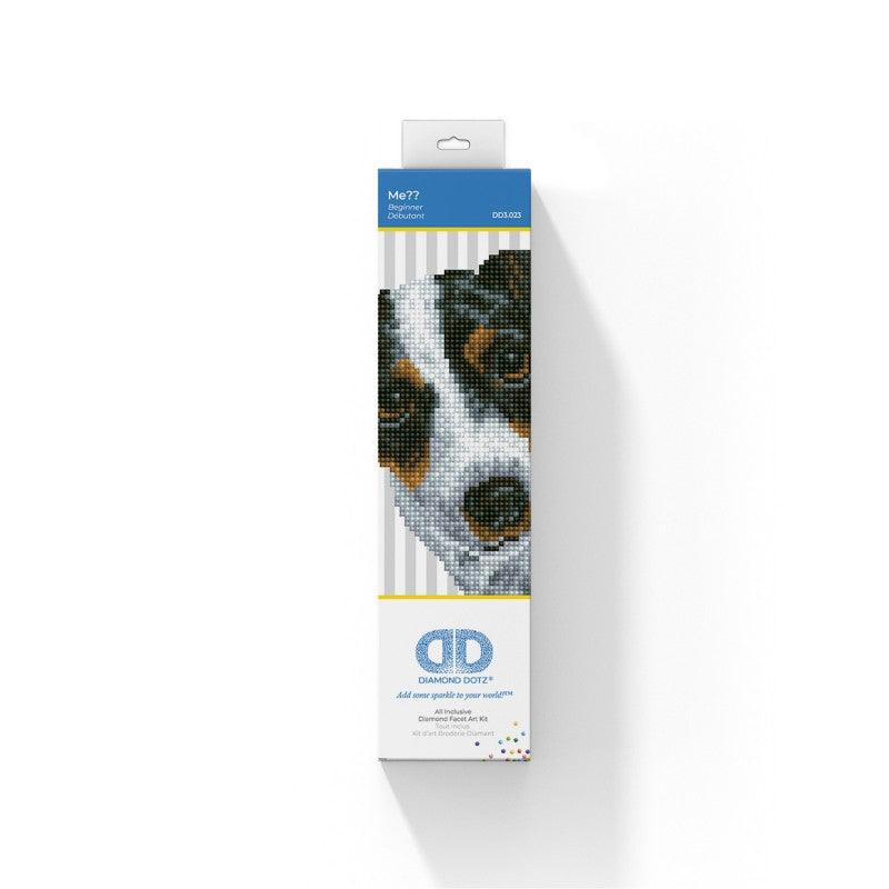 Me?? - Débutant - La Ribouldingue