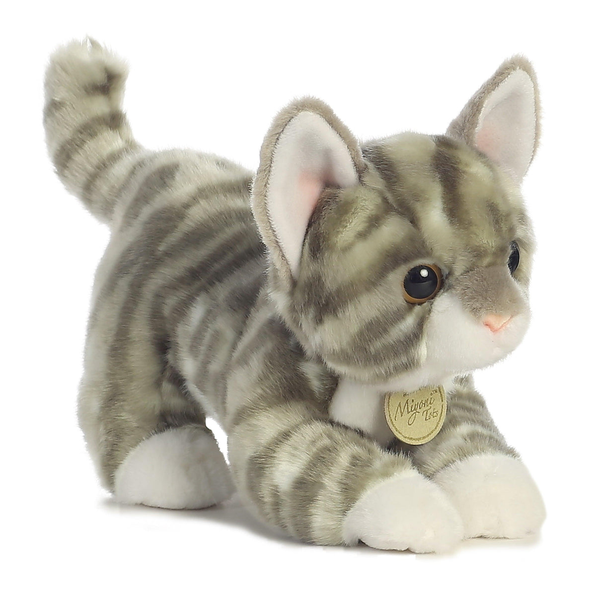 Miyoni - Chaton Tabby Gris - 9 po - La Ribouldingue