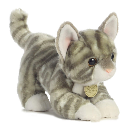 Miyoni - Chaton Tabby Gris - 9 po - La Ribouldingue
