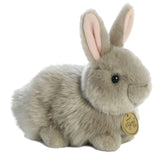 Miyoni - Lapin angora - 7 1/2 po - La Ribouldingue