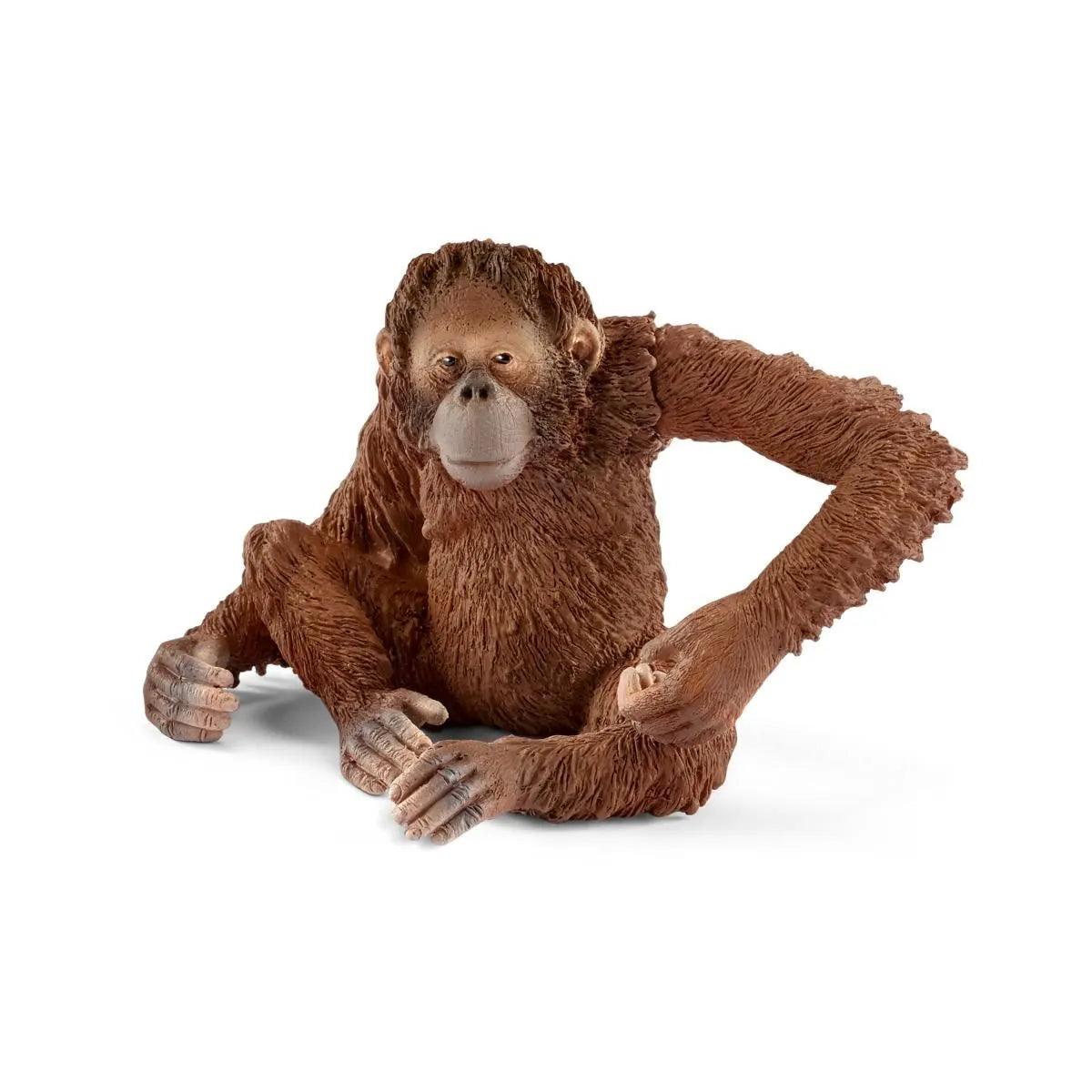 Orang-outan femelle - La Ribouldingue