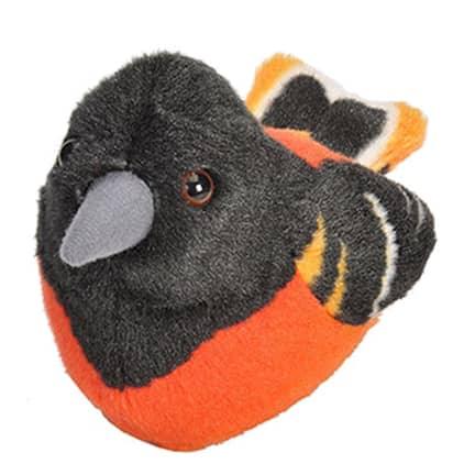 Oriole de Baltimore (avec son) - La Ribouldingue