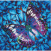 Papillon Mauve - Intermédiaire - La Ribouldingue