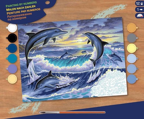 Peinture a numeros senior - Dauphins - La Ribouldingue