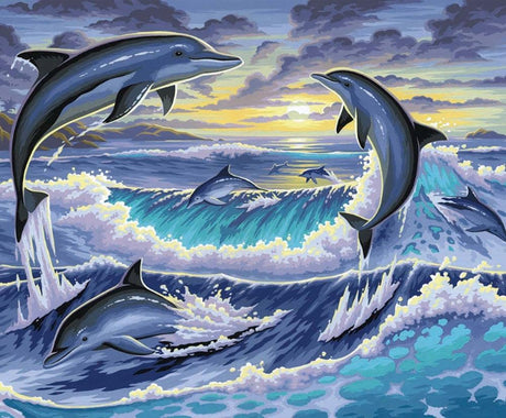 Peinture a numeros senior - Dauphins - La Ribouldingue