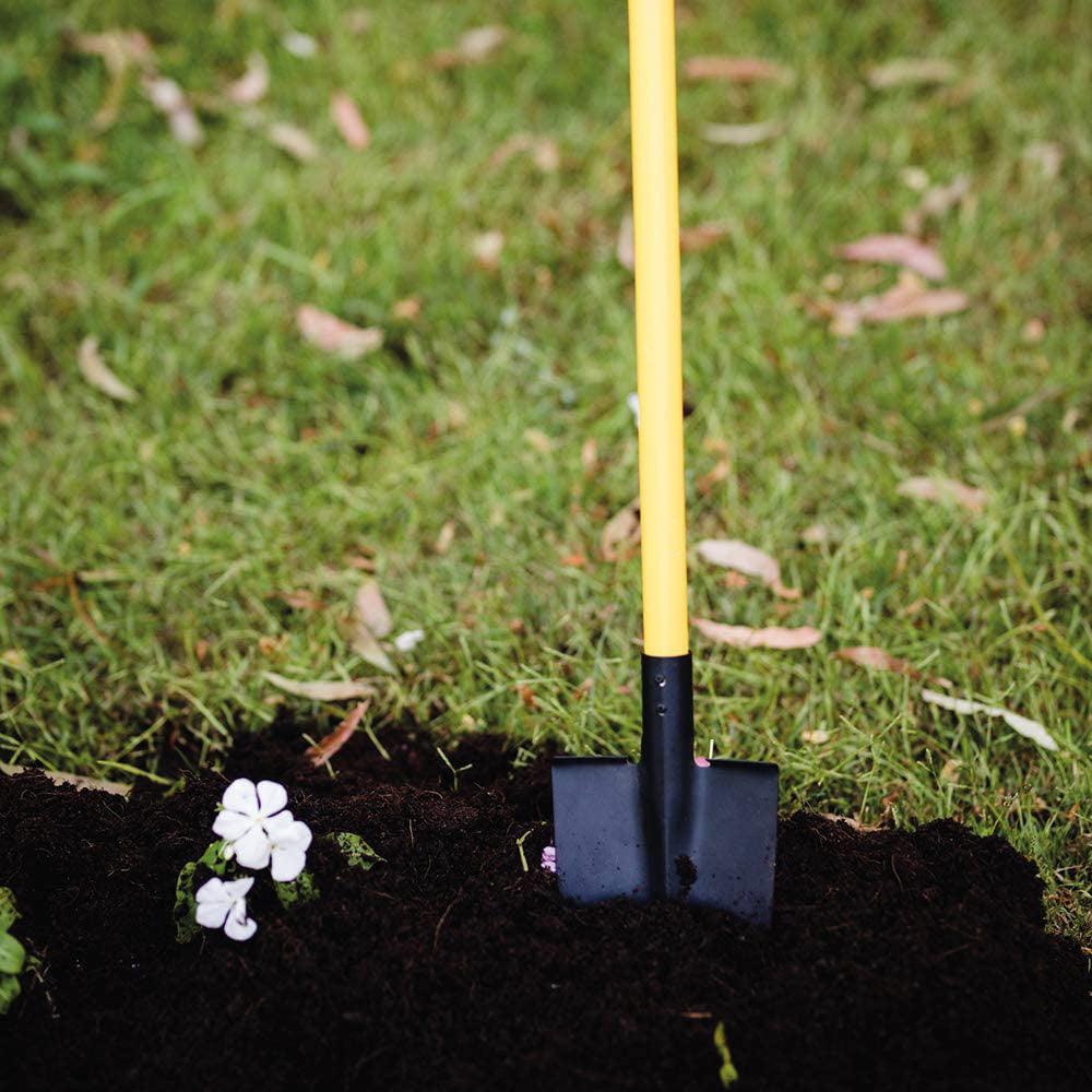 Pelle - La Ribouldingue