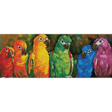 Rainbow Parrots - Intermédiaire - La Ribouldingue