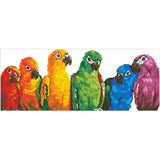 Rainbow Parrots - Intermédiaire - La Ribouldingue