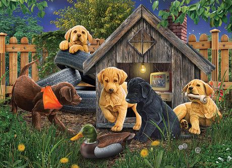 In the Doghouse - 1000 pcs