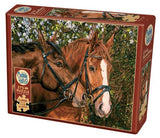 Friends Forever - 275 mcx Large