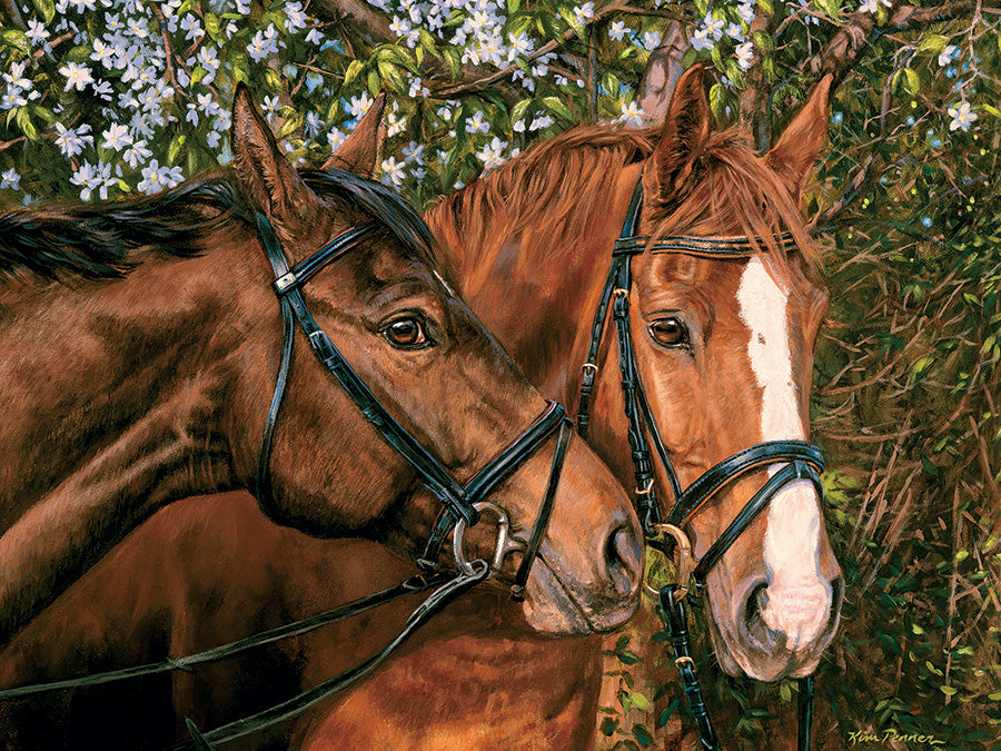 Friends Forever - 275 mcx Large
