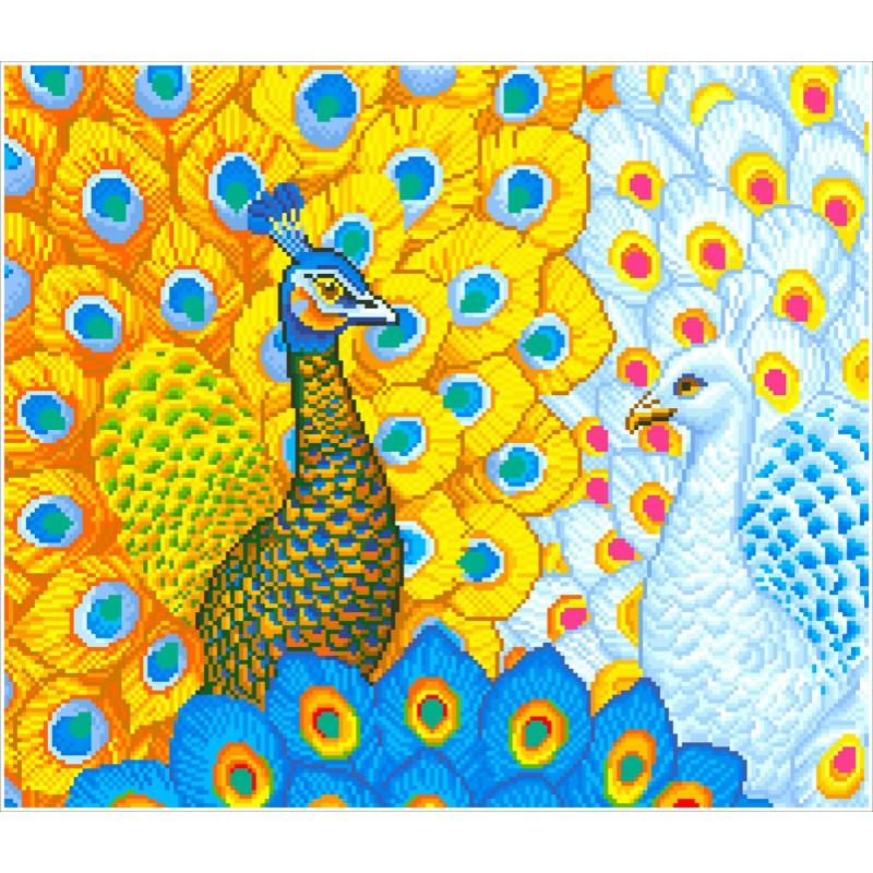 Romantic Peacocks - Avancé - La Ribouldingue