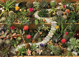Succulent Garden - 1000 mcx - La Ribouldingue