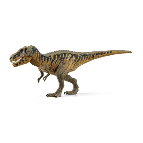 Tarbosaurus - Dinosaure - La Ribouldingue