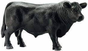 Taureau Angus noir - La Ribouldingue