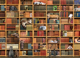 The cat library - 1000 mcx - La Ribouldingue