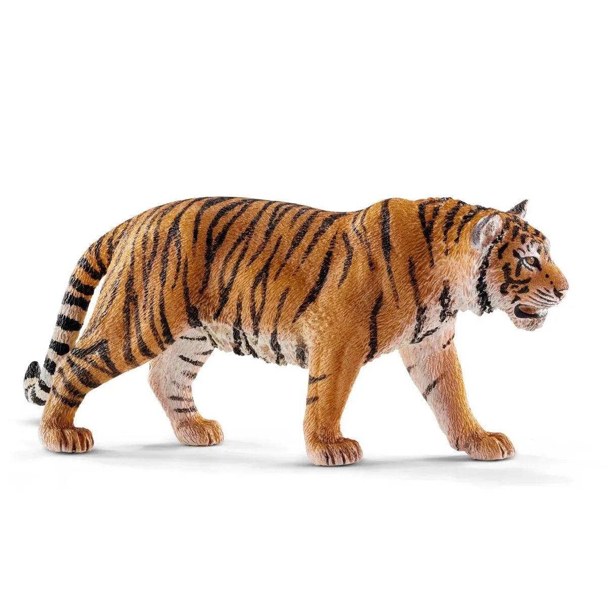 Tigre de Sibérie mâle - La Ribouldingue