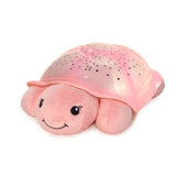 Tortue Lumineuse et Sons - La Ribouldingue