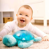 Tranquil Turtle - Aqua - La Ribouldingue